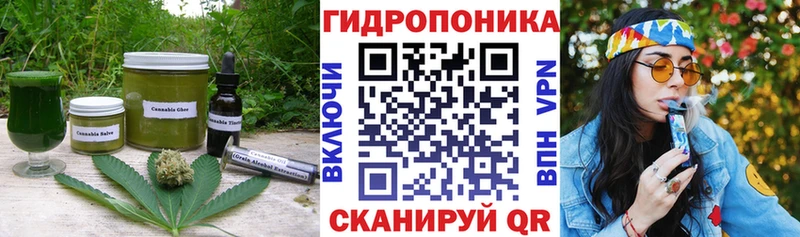 купить наркоту  MEGA маркетплейс  Canna-Cookies конопля  Кандалакша 