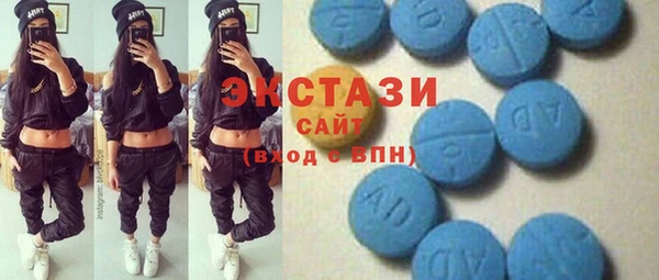 индика Кинешма