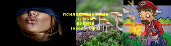 первитин Козловка