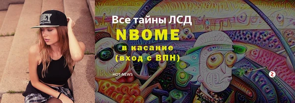 молекула духа Киреевск