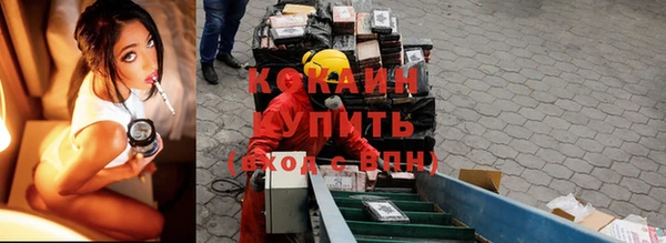 jwh Гвардейск