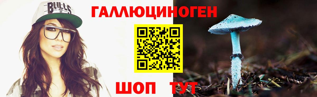 Галлюциногенные грибы мухоморы  Вход с VPN  Кандалакша  Галлюциногенные грибы мухоморы 